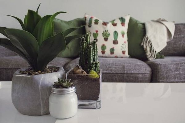 Comment décorer son salon avec un petit budget ?