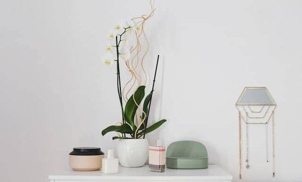 Quels sont les meilleurs sites pour partager ses photos de décoration ?
